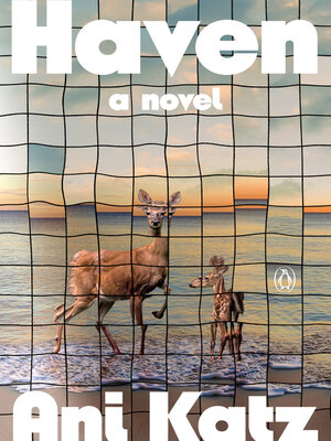 cover image of Haven